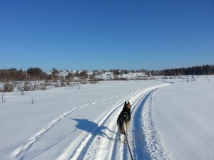 Rambo och vy upp mot Tullingsås från Lillsjön