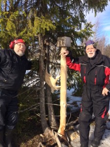 IMG_5776