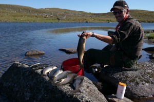 Fiske 3
