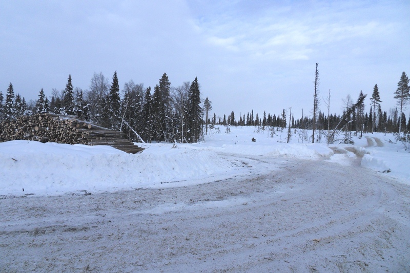 Vy mot Småmyran´n norr ut