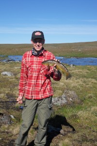 Fiske 1