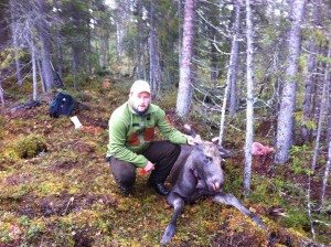 Ronny med skjuten kalv