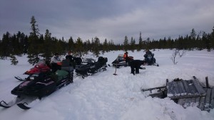 tornflytt3