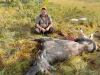 Tobbe med skjuten tjur Ruven